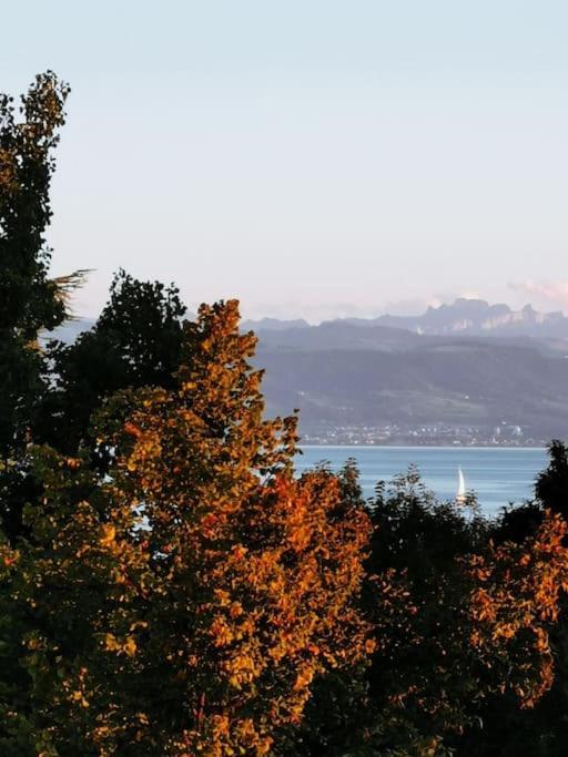 Wohnen Direkt Am Uferpark Mit Grossem Balkon Und Seeblick FDH Εξωτερικό φωτογραφία